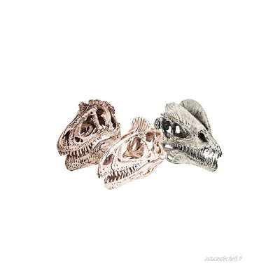 3 Pièces Modèle de crâne de dinosaure Sculpture de crâne de dinosaure à l'échelle 1 12 Squelette d'enseignement des fossiles de crâne Pour la décoration de collection de recherche archéologique