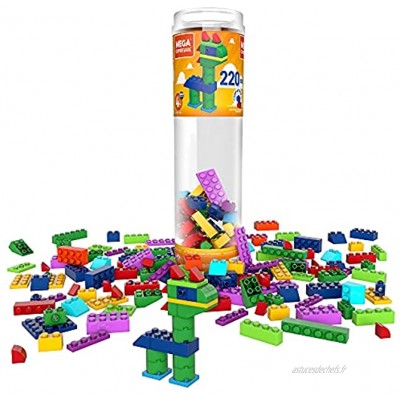 Mega Construx Wonder Builders tube de 220 briques de construction jeu pour enfant dès 4 ans GVM51