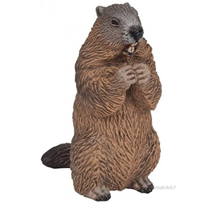 Papo 50128 Figurine Animaux Marmotte